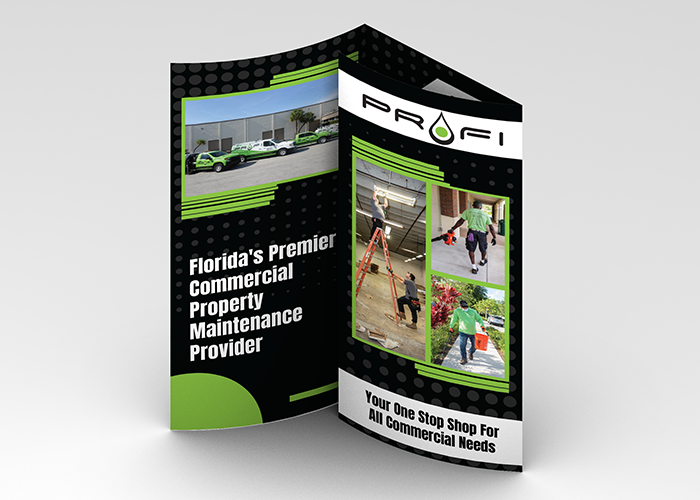Profi